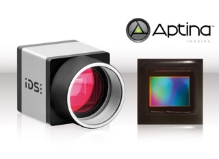 USB Camera Image